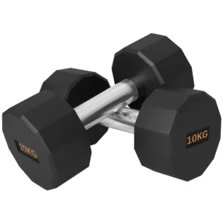 2 x 10kg Dumbbells Weights Set with 12-Sided Shape and Non-Slip Grip for Men Women Home Gym Workout by SPORTNOW