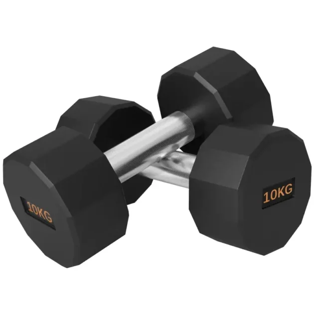 2 x 10kg Dumbbells Weights Set with 12-Sided Shape and Non-Slip Grip for Men Women Home Gym Workout by SPORTNOW